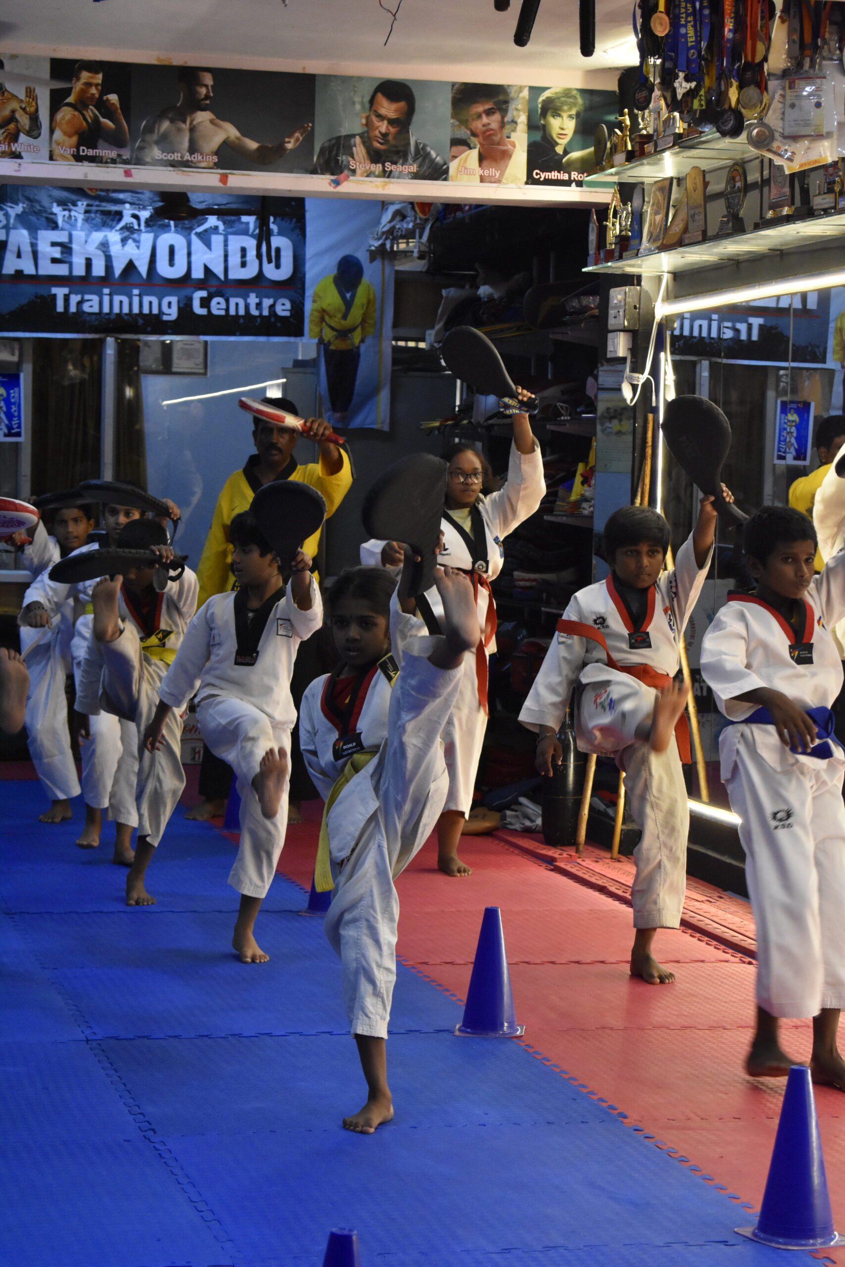 Taekwondo kick technique demonstration